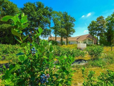 Holiday house VZ206 Vakantiehuisje Sluis - Outdoor photo 26