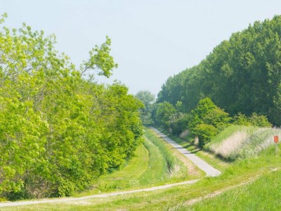 Chalet VZ2317 Luxe vakantiechalet in Scherpenisse - Outdoor photo 21