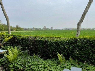 Holiday house VZ2320 Natuurhuisje in Koudekerke-Dishoek - Outdoor photo 6