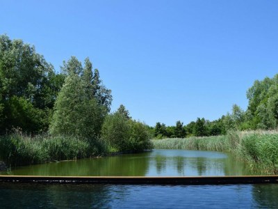 Holiday house VZ2350 Appartement in Oostkapelle - Outdoor photo 17