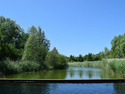 Holiday house VZ2350 Appartement in Oostkapelle - Outdoor photo 32