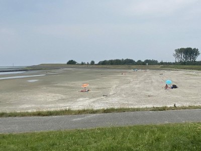 Chalet VZ2415 Vakantiechalet in Scherpenisse - Outdoor photo 13