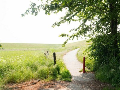 Holiday house VZ2424 Stacaravan Scherpenisse - Outdoor photo 80