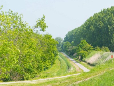 Holiday house VZ2424 Stacaravan Scherpenisse - Outdoor photo 81