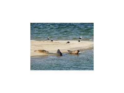 Holiday house VZ2549 Vakantiewoning VP002 - Outdoor photo 14