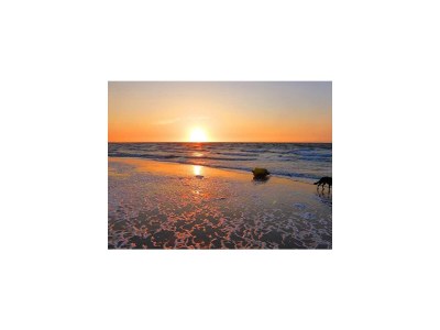 Holiday house VZ2549 Vakantiewoning VP002 - Outdoor photo 33