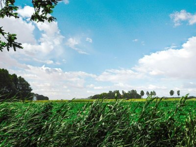 Holiday house VZ272 Groepsaccommodatie Ellemeet - Outdoor photo 42