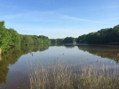 Chalet VZ539 Vakantiechalet Ouwerkerk - Outdoor photo 11