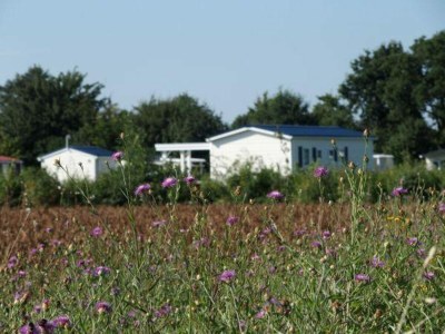 Chalet VZ539 Vakantiechalet Ouwerkerk - Outdoor photo 21