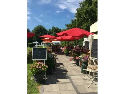 Chalet VZ739 Chalet Veere - Outdoor photo 5