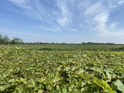 Holiday house VZ833 Vakantiewoning Oostkapelle - Outdoor photo 23