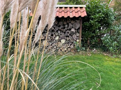 Holiday house VZ936 Vrijstaande vakantiebungalow Koudekerke-Dishoek - Outdoor photo 13