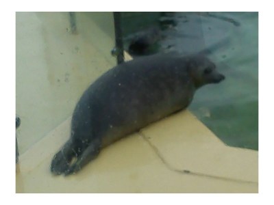 Holiday house No title - Environment photo 19