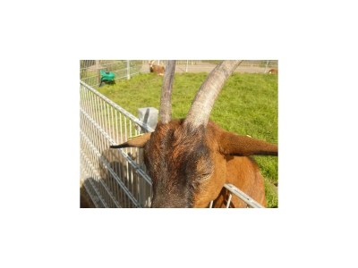 Holiday house No title - Environment photo 20