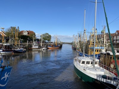 Holiday house No title - Environment photo 26