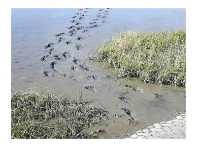 Holiday house No title - Environment photo 27