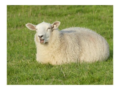 Holiday house No title - Environment photo 32