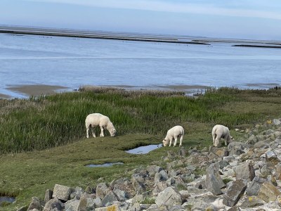 Holiday house No title - Environment photo 33