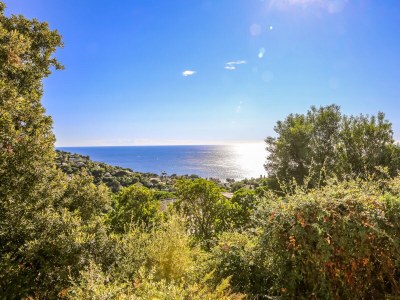 Holiday house Arique - Environment photo 37