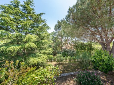 Holiday house Jessalyn - Environment photo 37