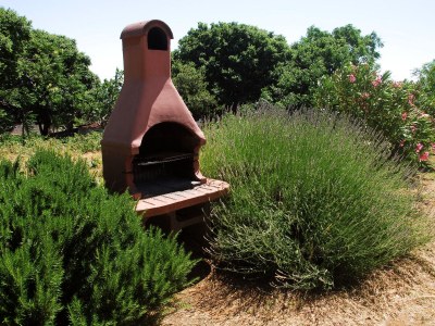 Holiday apartment BETY 300 meters from the beach - Outdoor photo 9