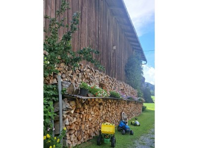 Apartment Apartment 2 - Outdoor photo 22