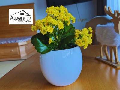 Apartment alpenlodge 52 - Outdoor photo 28