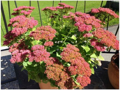 Apartment Apartment/2 Schlafräume/Bad, WC - Outdoor photo 15