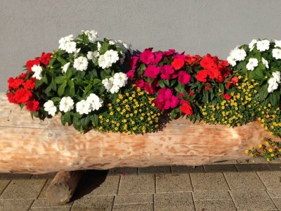 Apartment Apartment/2 Schlafräume/Bad, WC - Features photo 32