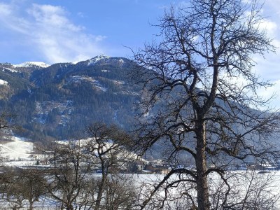 Apartment Apart Tischler - Outdoor photo 17