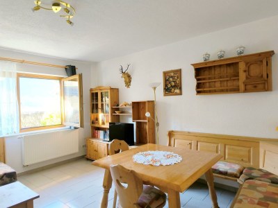 Apartment Zillertal Alpenblick - Features photo 31