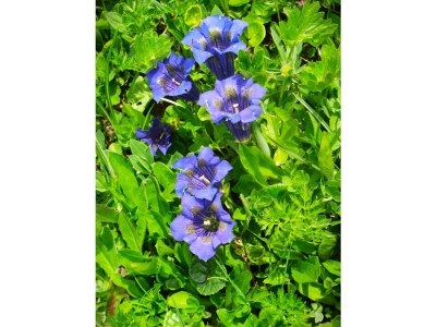 Holiday room Seppenalmhütte - Outdoor photo 11