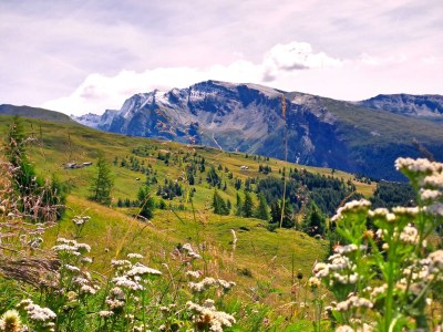 Holiday room Seppenalmhütte - Outdoor photo 16