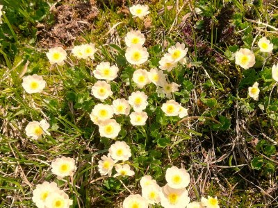 Holiday room Seppenalmhütte - Outdoor photo 18