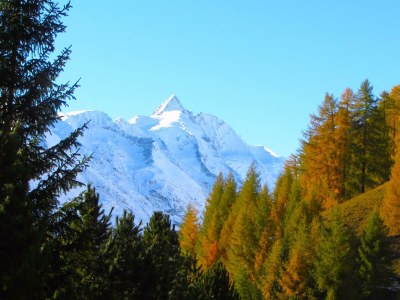 Holiday room Seppenalmhütte - Outdoor photo 30
