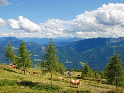 Apartment Beim Rauter – Emberger Alm - Outdoor photo 59