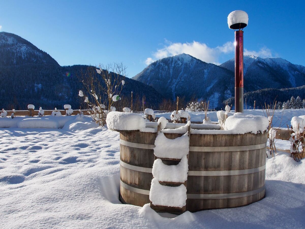 Apartment Almflair-Chalet - Outdoor photo 2