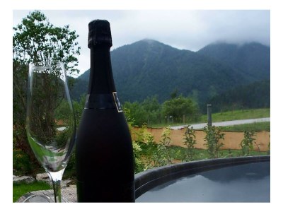 Apartment Almflair-Chalet - Outdoor photo 10