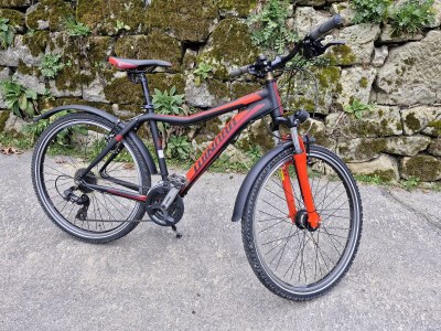 Holiday apartment Krippen an der Grundmühle - Outdoor photo 9