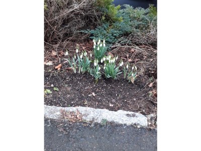 Holiday apartment Krippen an der Grundmühle - Outdoor photo 13