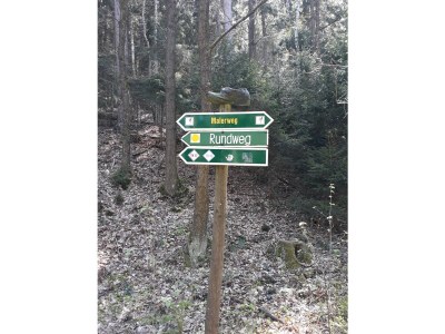 Holiday apartment Krippen an der Grundmühle - Environment photo 36