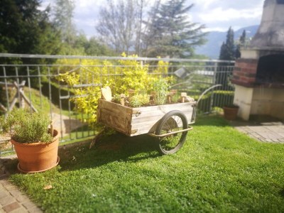 Holiday apartment Sommereck - apartments - Outdoor photo 12