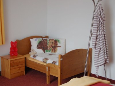 Holiday apartment Sommereck - apartments - Features photo 17