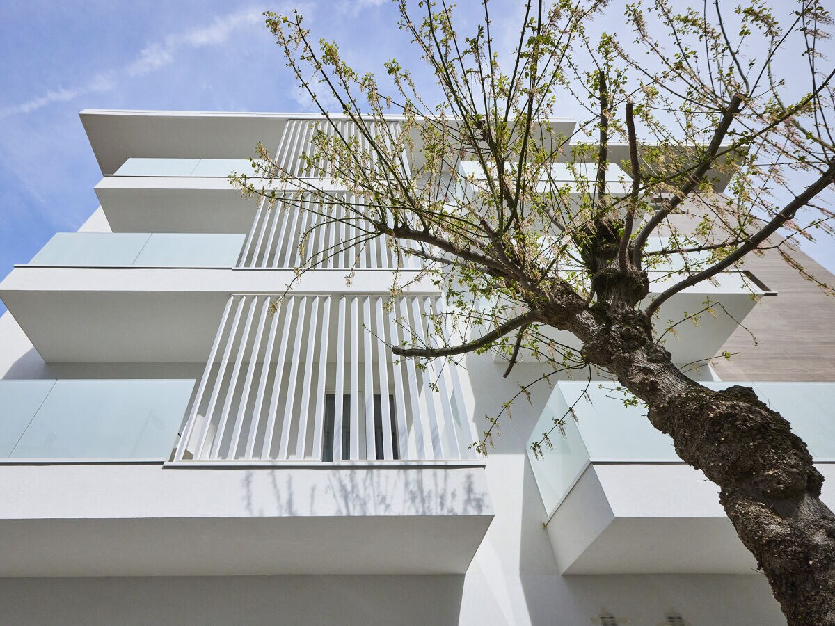 Holiday house The Palm Bilocale - Outdoor photo 5