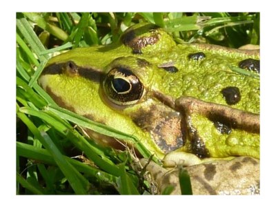 Holiday house No title - Environment photo 16