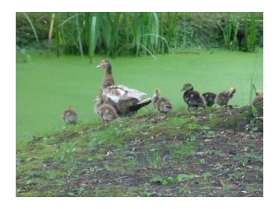 Holiday house No title - Environment photo 17