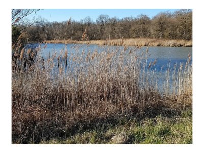 Holiday house No title - Environment photo 24