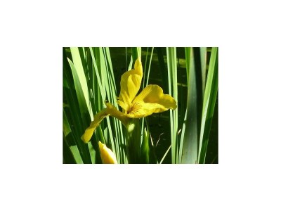 Holiday house No title - Environment photo 26