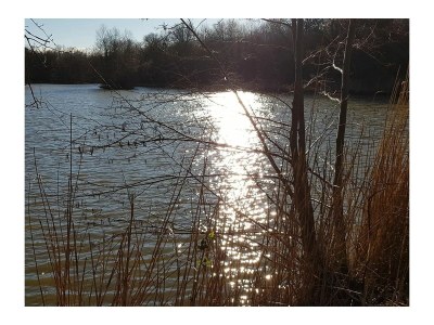 Holiday house No title - Environment photo 27