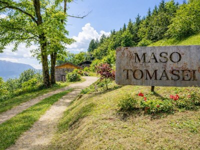 Holiday house Thomas Hütte in a sunny location with sauna - Document photo 18